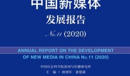 网民爆料蓝皮书视频,网民爆料背后的真相与启示