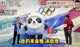 都市爆料冰墩墩视频大全,都市爆料视频大全带你领略冬奥萌宠风采