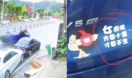 张家界司机爆料视频大全,揭秘景区背后的真实故事